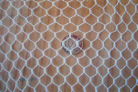 Bird Net Protective Shade Mesh Fabric, Designed to Protect Agricultural Crops and Commercial Areas from Bird Damage, Featuring Lightweight Construction and Optimal Air Permeability for Sustainable Plant Growth